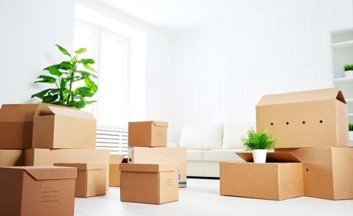 Cardboard boxes in Singapore